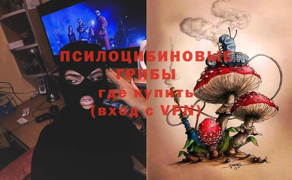 трава Аркадак