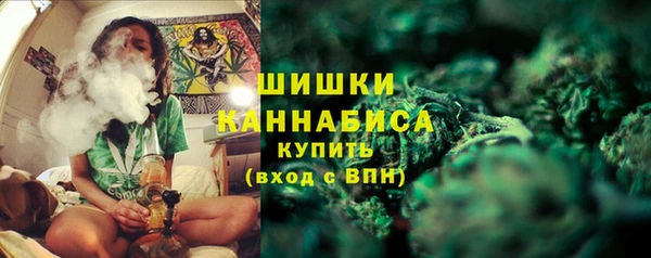 трава Аркадак