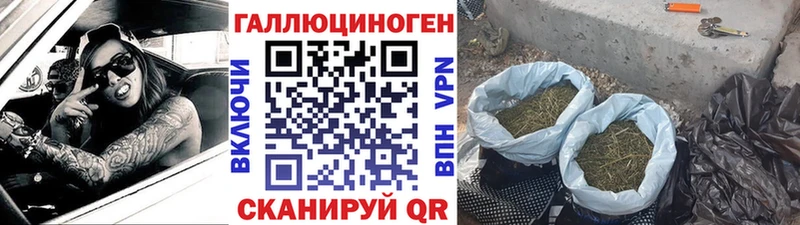 blacksprut как зайти  где продают наркотики  Ростов  Галлюциногенные грибы прущие грибы 